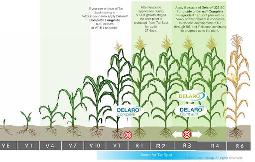 Figure 1. Corn growth stages from emergence to maturity with application timings highlighted for Delaro® Complete Fungicide and Delaro® 325 SC Fungicide.