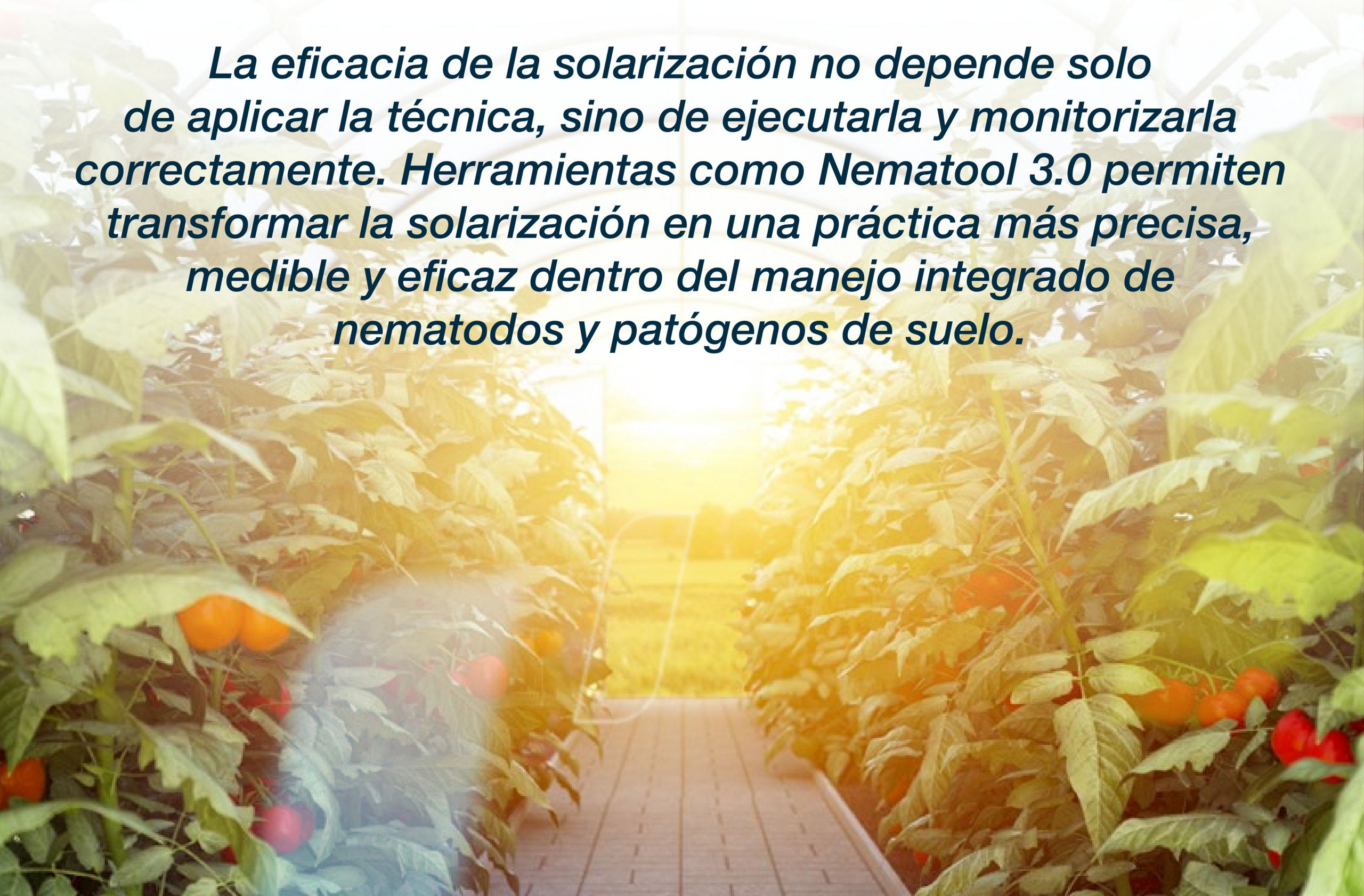 image: laeficacia de la solarizacion...