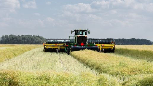 A swather cutting rows of canola seed for harvesting in a rural countryside cloudy landscape