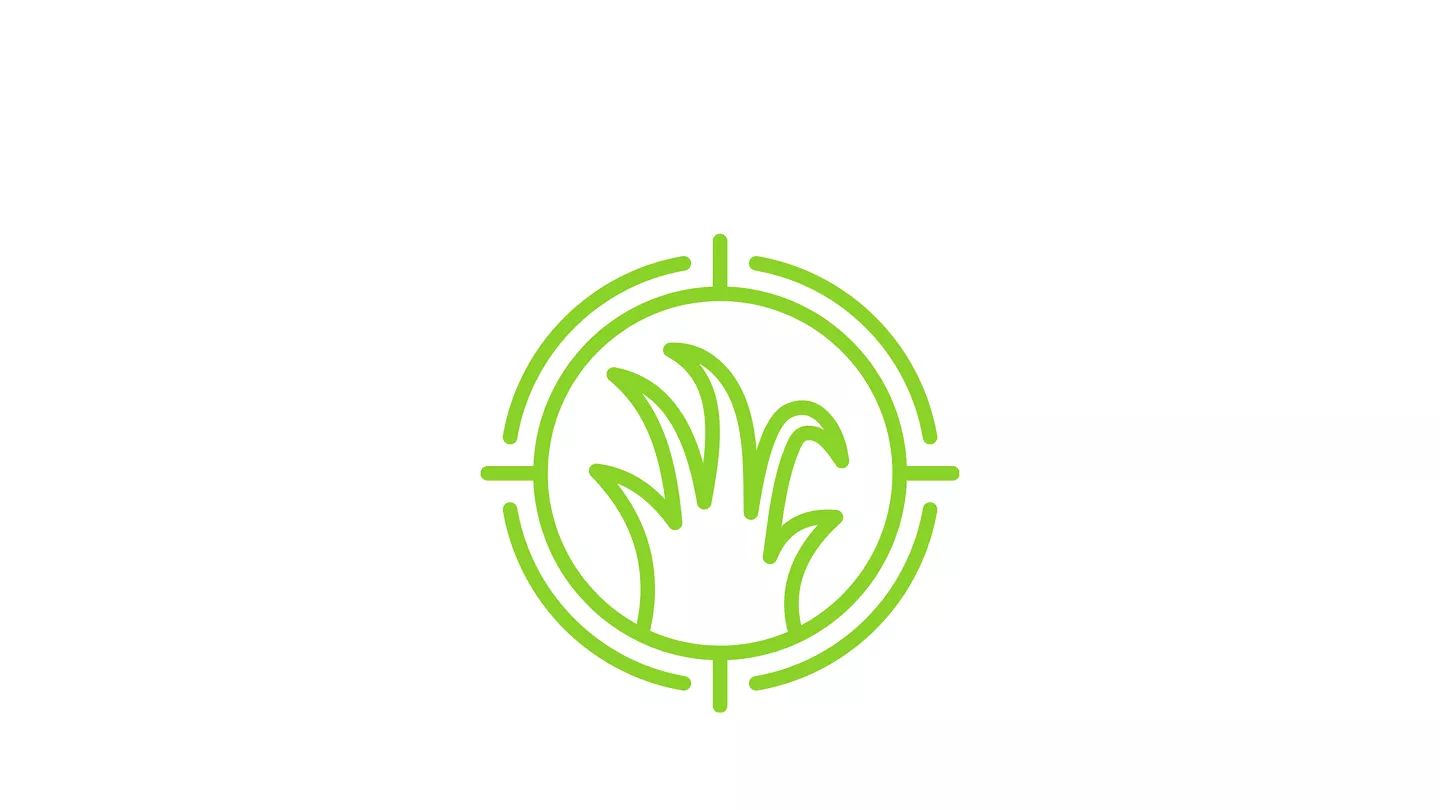 planta em alvo
