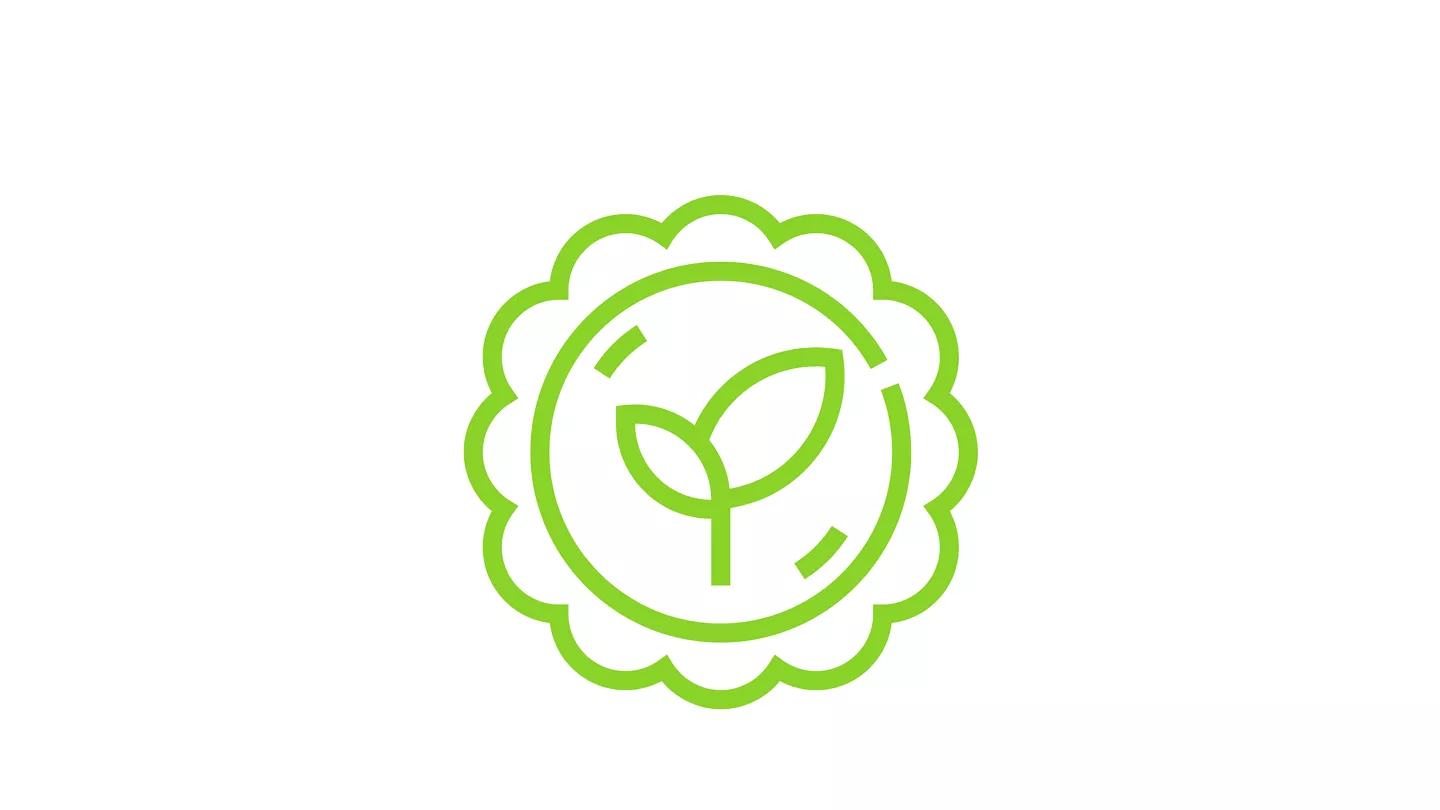 folha da planta