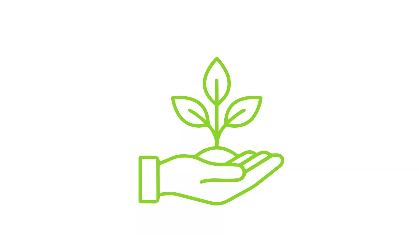 planta na mão