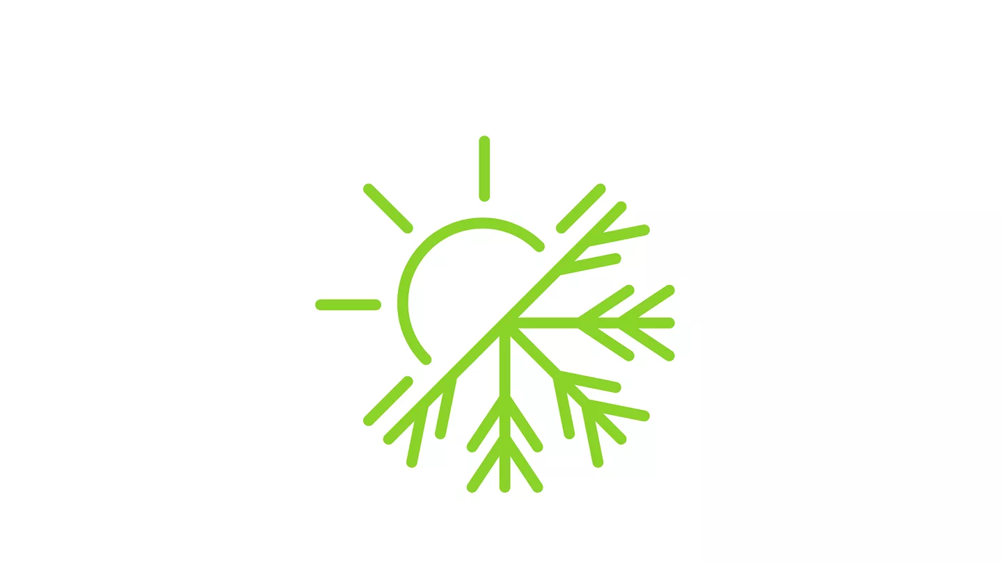 planta na terra e sol