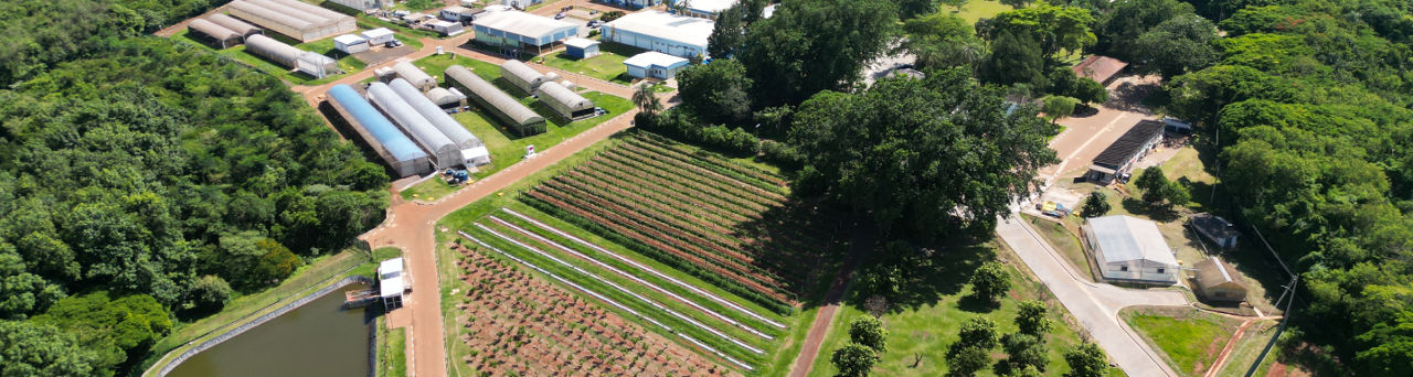 Fazenda