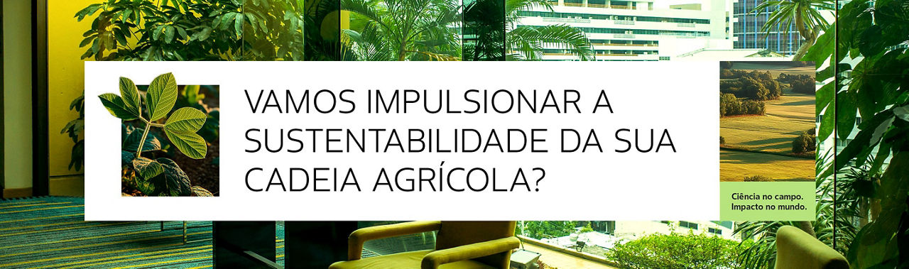 VAMOS IMPULSIONAR A SUSTENTABILIDADE DA SUA CADEIA AGRÍCOLA?