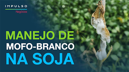 Promotion component background