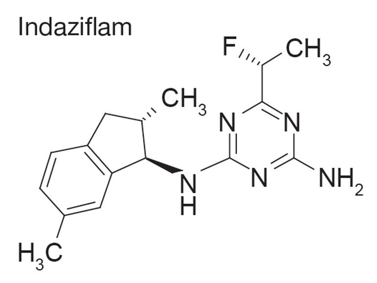 Chemical structure of Indaziflam