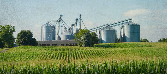 Promo Tools of Interview: Grain Storage Concerns