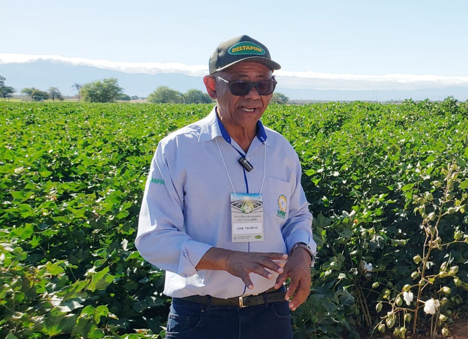 Kelly Cesario  📄 1 1.png 📄 2 1.png Homem de óculos escuros, boné "DELTAPINE" e crachá de identificação, gesticulando em uma vasta lavoura de algodão com plantas de folhagem verde densa. Montanhas ao fundo sob céu claro.