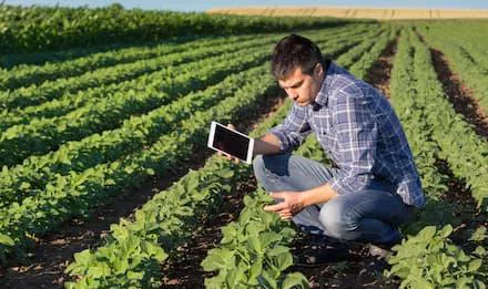 imagem de um homem ajoelhado em uma platação, segurando um tablet.