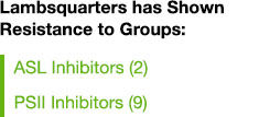 Lambsquarters has shown resistance to groups 2 and 9