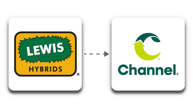 Lewis hybrids transitioning to channel seed