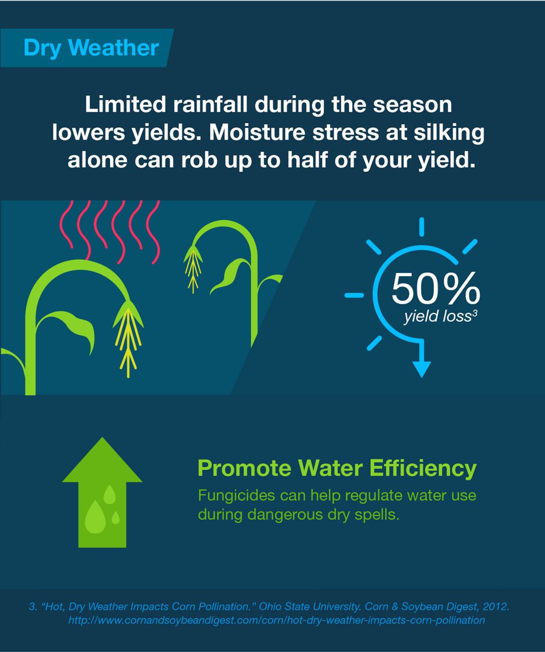 limited-rainfall-during-the-season-lowers-yields-moisture-stress-at-silking-can-rob-up-to-half-your-yield