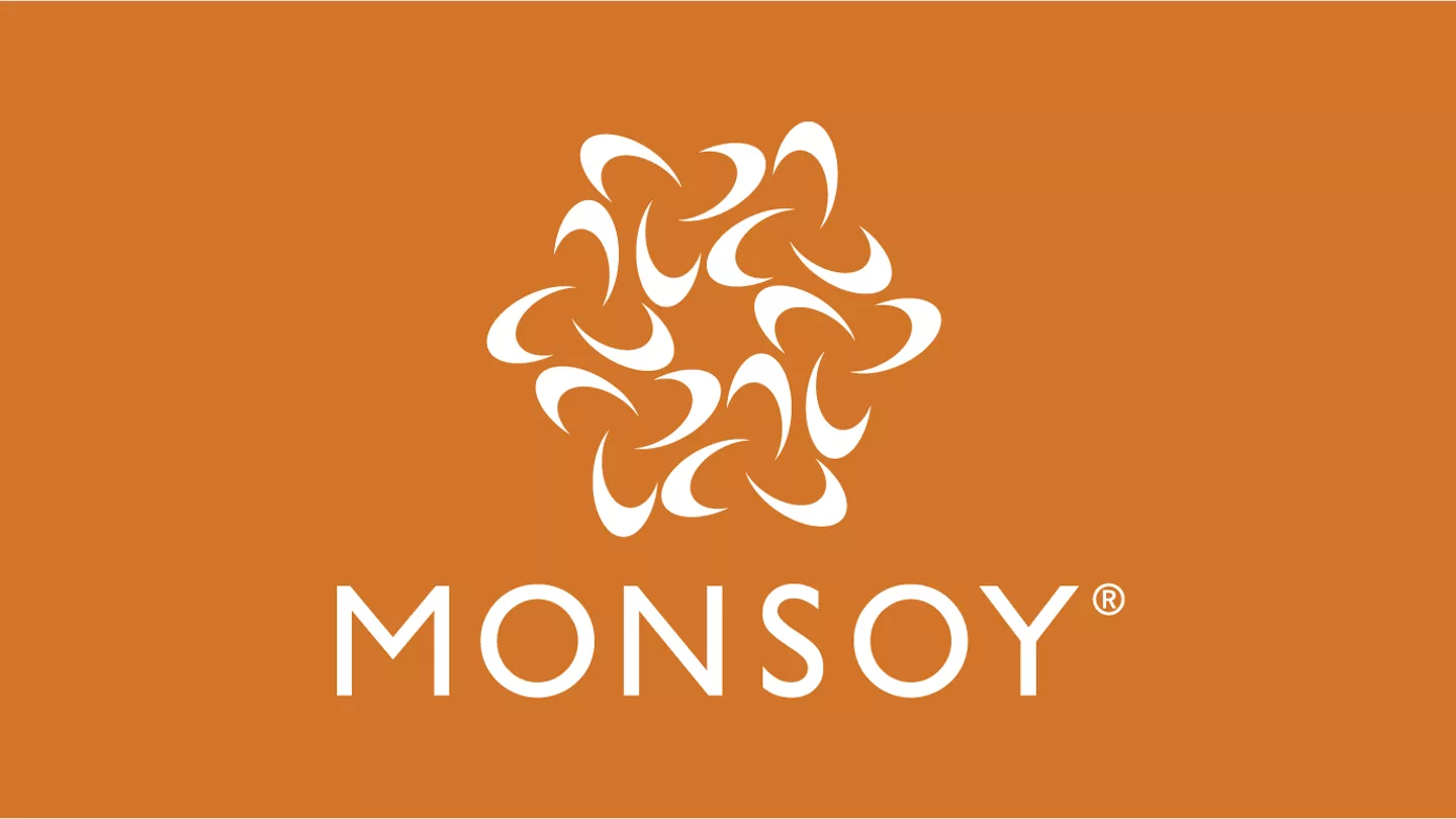 Logo Monsoy