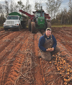 Farmer kneeling in a crop field holding potatoes with farming equipment in the background