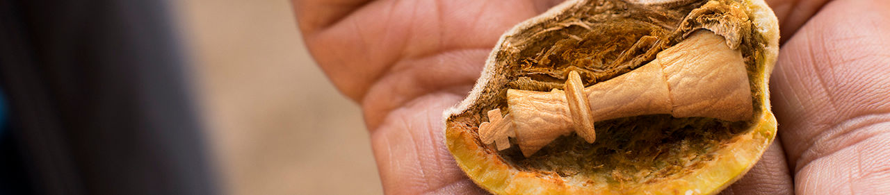 Game piece inside of shell