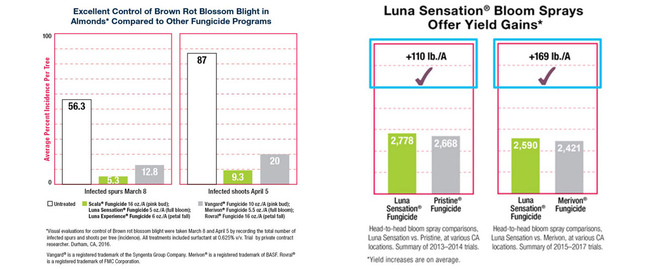 Graph comparing fungicide programs 