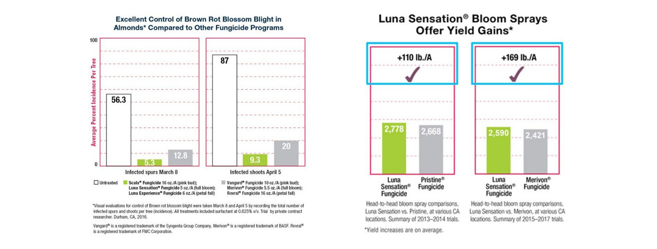 Graph comparing fungicide programs