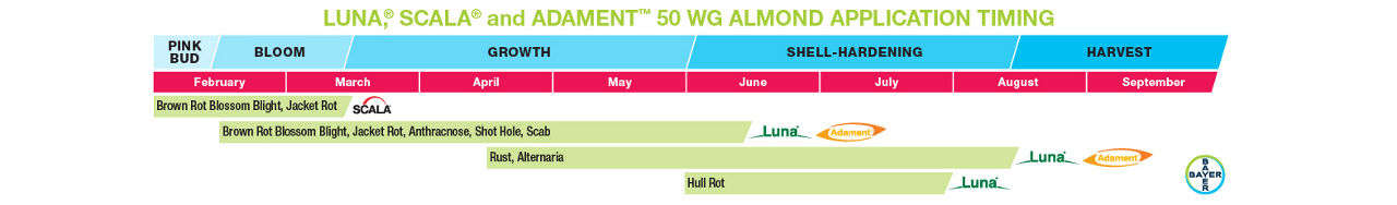 Graph comparing Luna Scala and Adament 50 WG almond application timing 