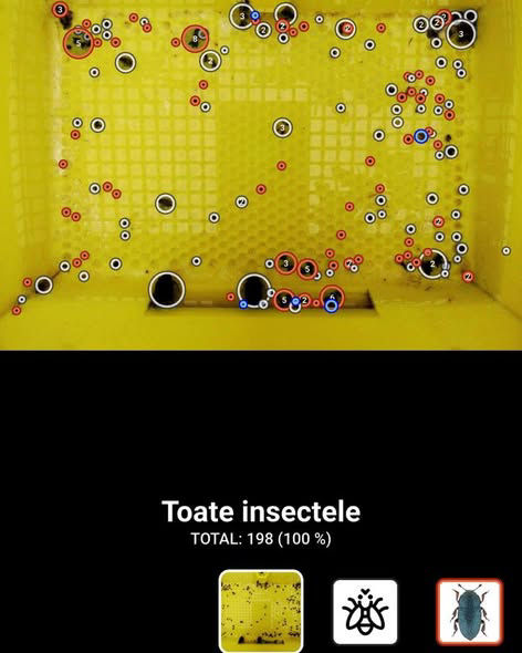 Capcană galbenă pentru monitorizarea insectelor, cu puncte marcate ce indică numărul și distribuția dăunătorilor capturați