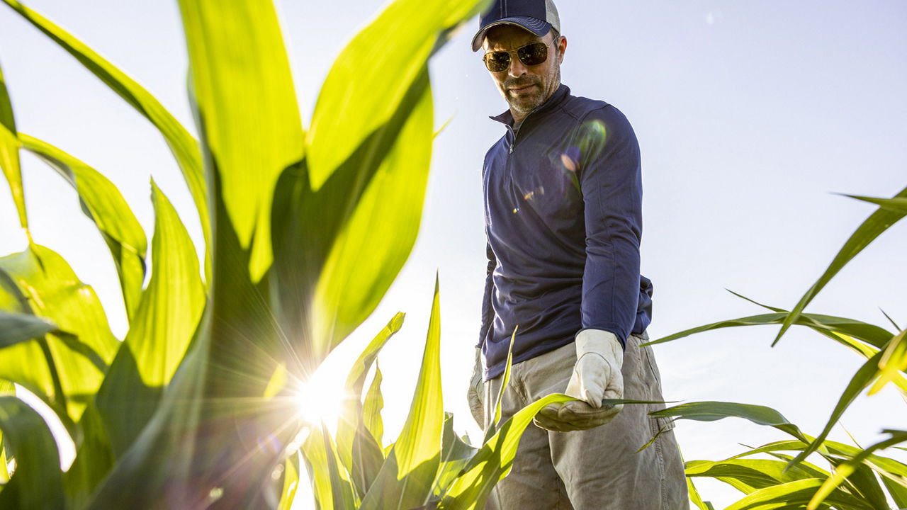 Channel Seedsman wearing white gloves while examining a plant