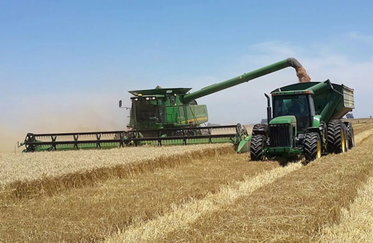 Imagem de um colheitadeira descarregando grãos em um trator com uma carreta no campo.