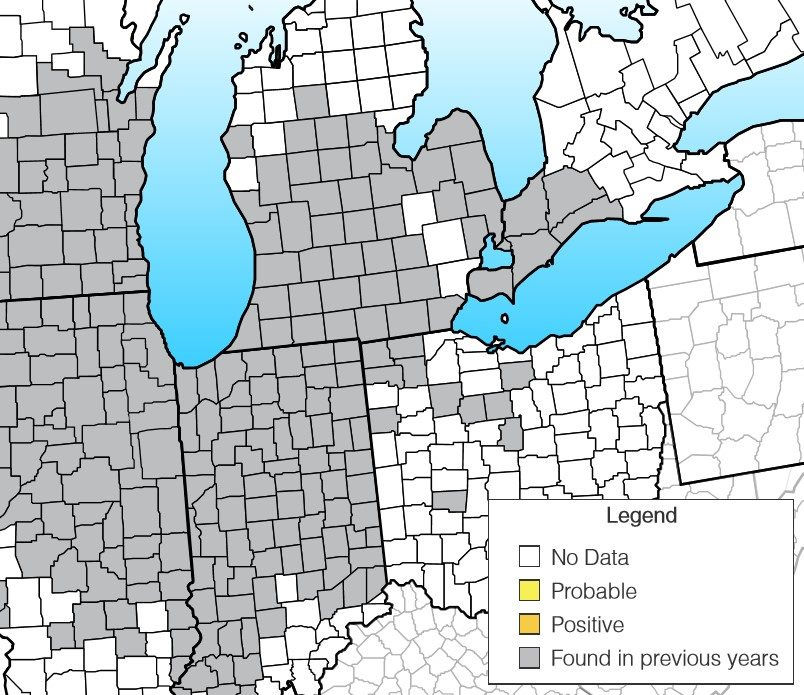 A map of current and previous tar spot infected areas as of May 2021.