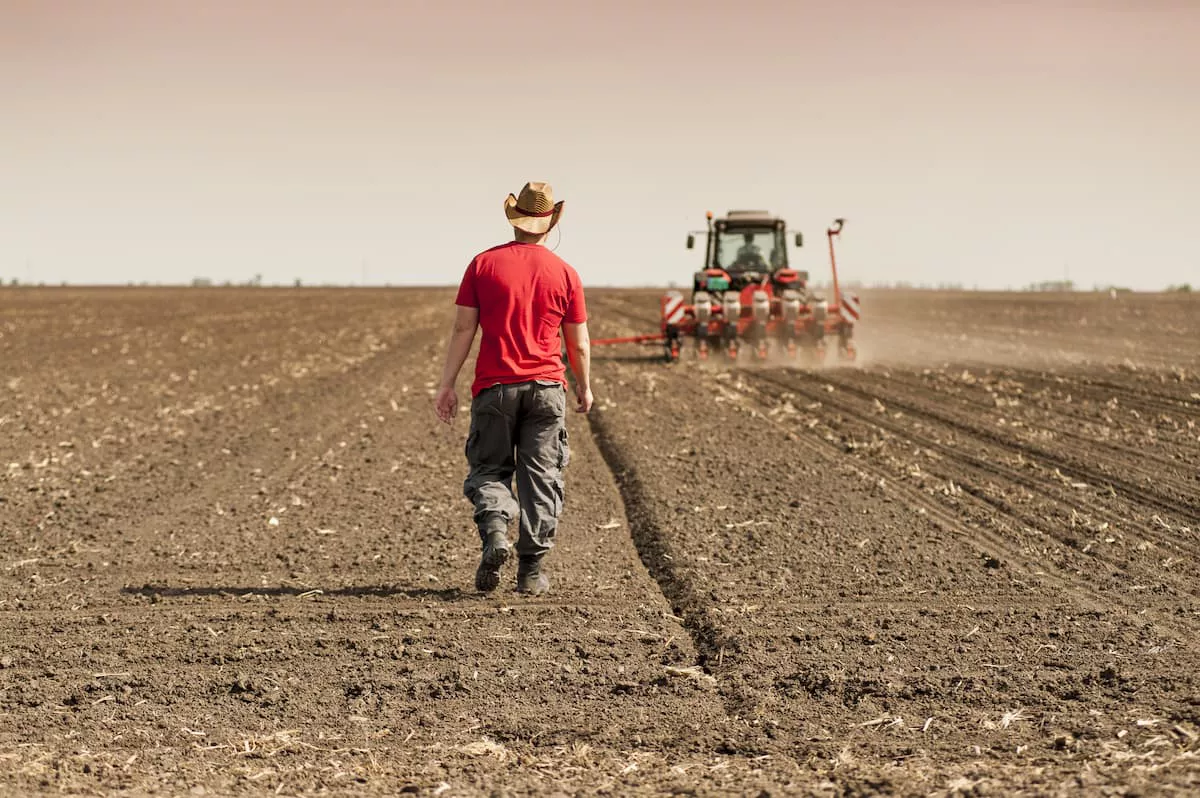 Produtor acompanha o plantio de soja.