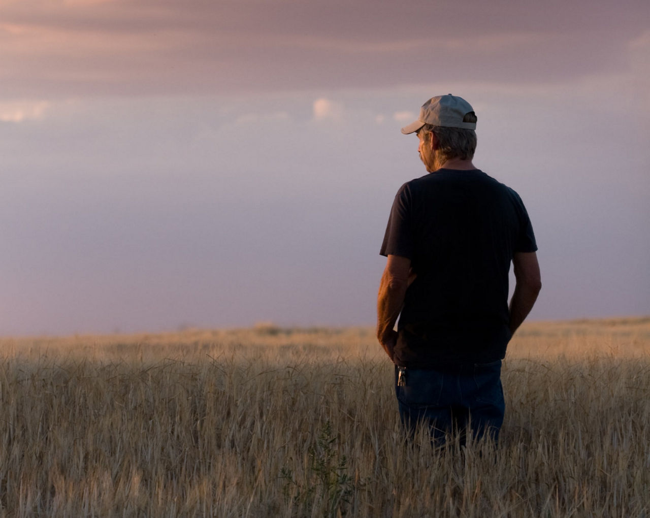 A farmer stands in a field of plants that are almost waist-height. He looks off toward the horizon. 