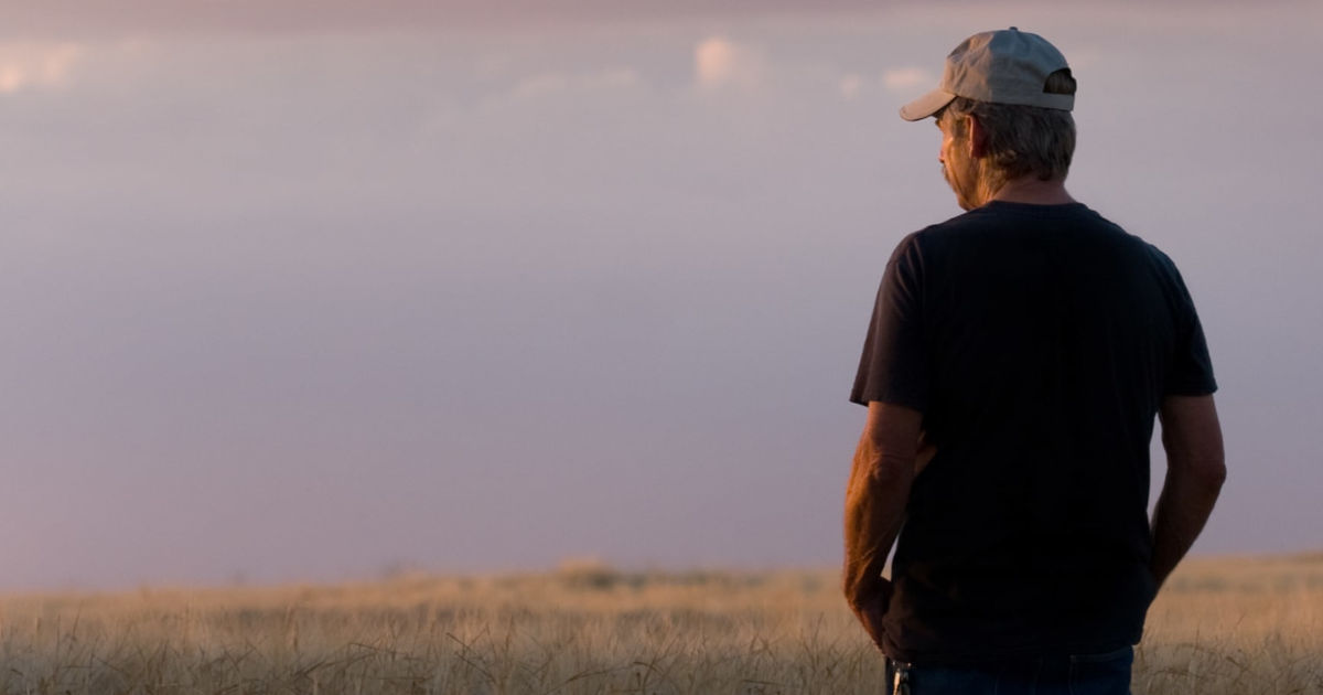 A farmer stands in a field of plants that are almost waist-height. He looks off toward the horizon. 