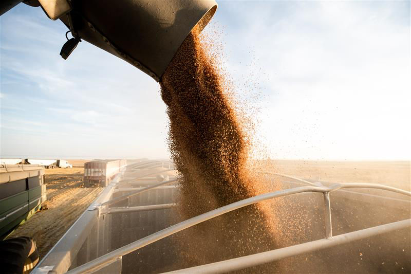 With cloudy skies in the background, a grain truck is being filled with grain.