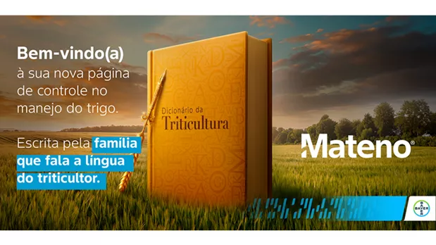 Feature Section Image