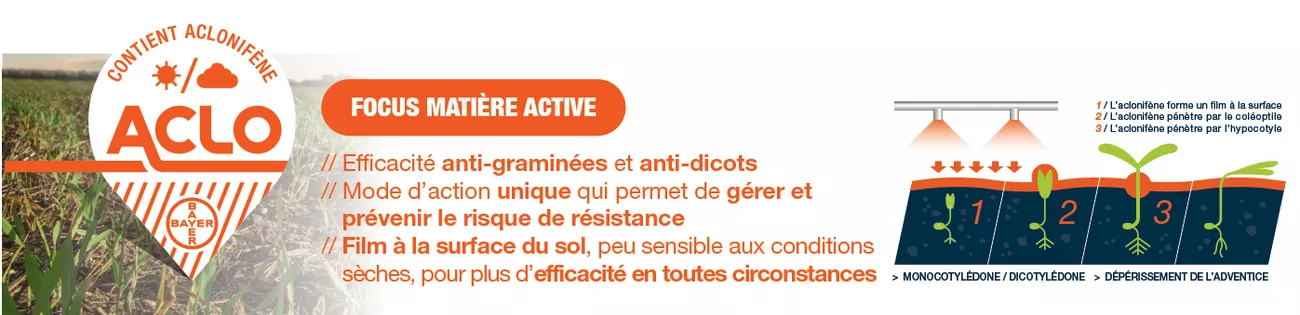 mateno-un-grand-pas-pour-lefficacite-du-desherbage-dautomne_Rich_Text_Editor_2.png