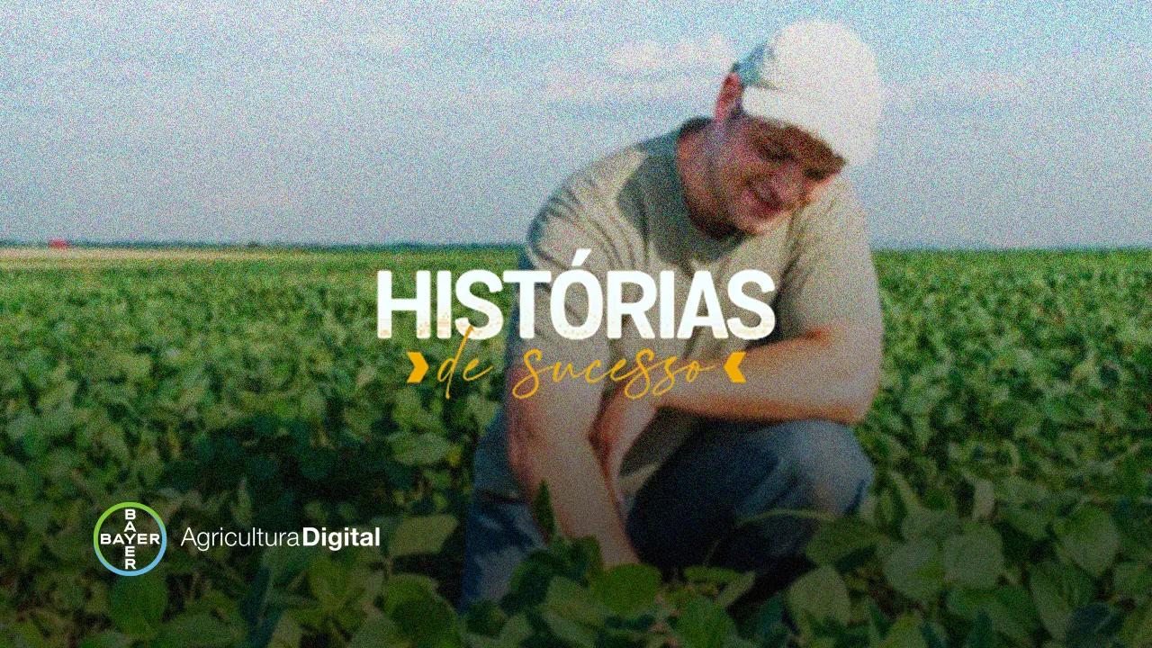 Safra de soja sofre com infestação de nematoides