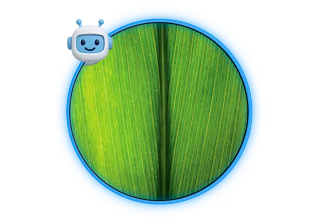 Icon of undefined
