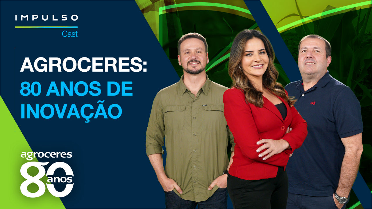 Milho: genética e manejo impulsionam a produtividade