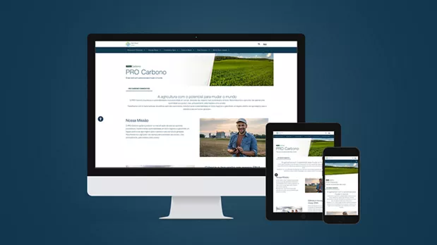 Feature Section Image
