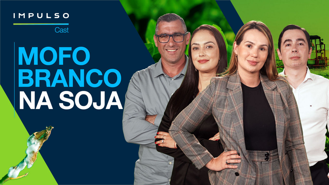Mofo branco na soja: desafios e estratégias de controle