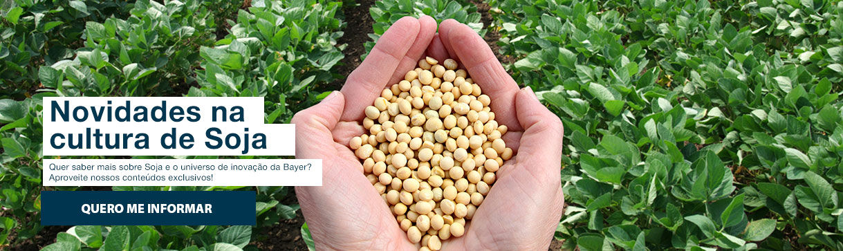 Novidades na cultura de soja quer saber mais sobre soja e o universo de inovação da bayer aproveite nossos conteúdos exclusivos!