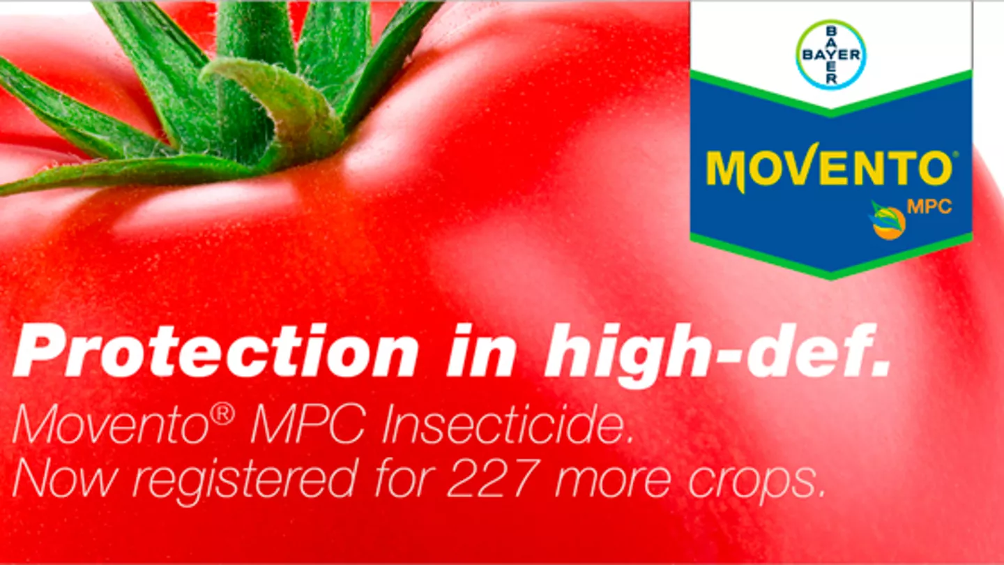 Protection in High-Def