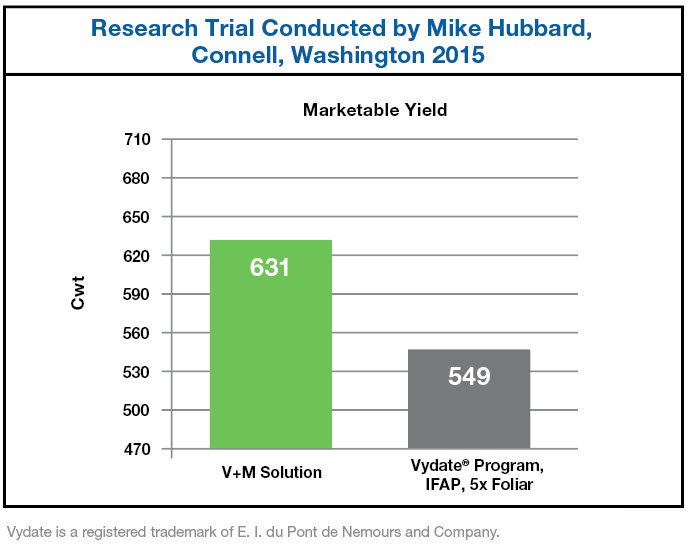Chart showing the increased marketable yield when using V+M Solution as compared to Vydate Program