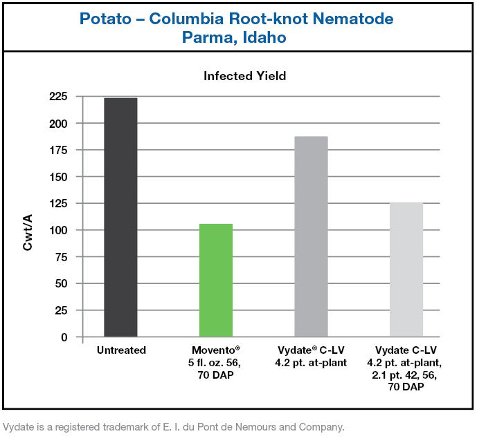 Chart showing infected yield in Cwt/Acre from Columbia Root-knot Nematodes in Potatoes