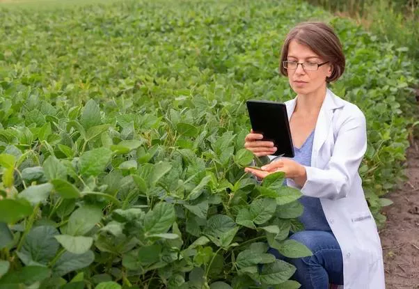 A conectividade no campo é um dos desafios da Agricultura 4.0 na América Latina