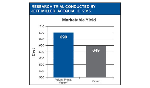 Bar graph of Velum Prime, Vapam vs Vapam.