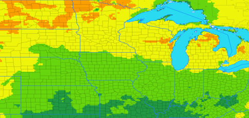 White Mold Map