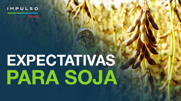 USDA projeta 154 milhões de toneladas de soja para a safra brasileira, enquanto Conab prevê 8 milhões de toneladas a menos.