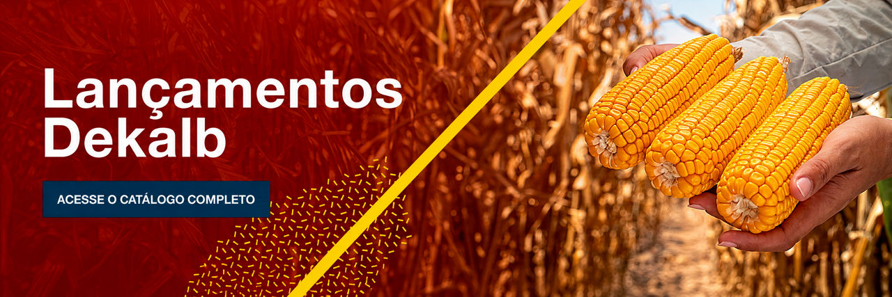 Lançamentos Dekalb. Baixe o catálogo completo.