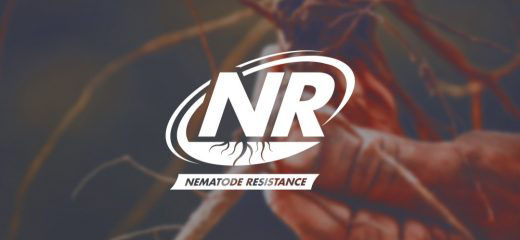 2014 - New Tools to Fight Nematodes
