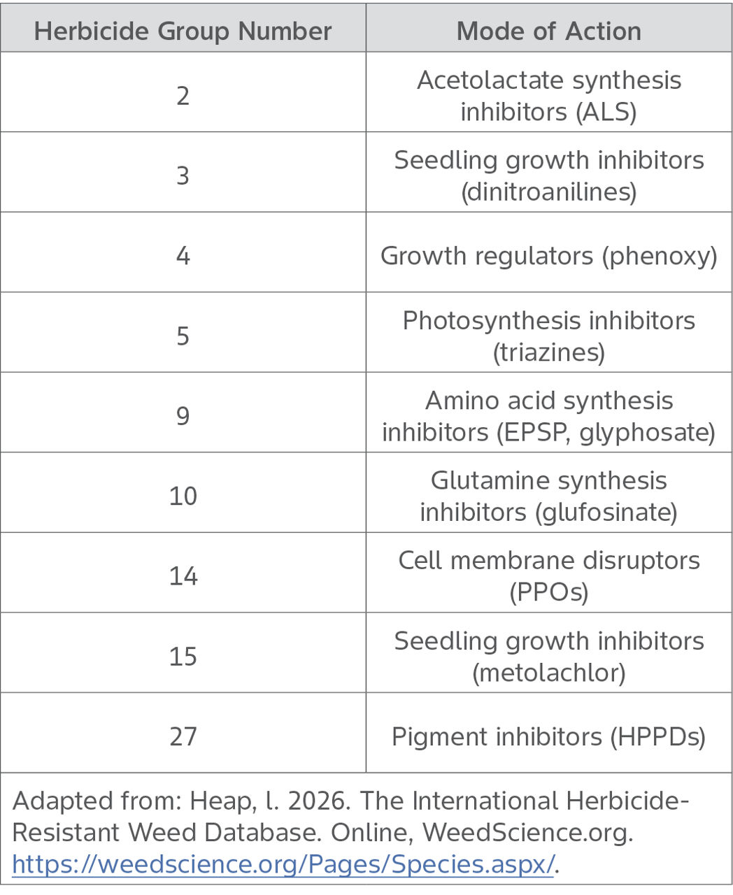 Table shows herbicide group numbers where Palmer amaranth has a resistance to at least one active ingredient 
