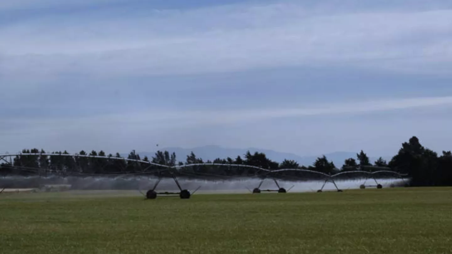 crop protection in Pasture
